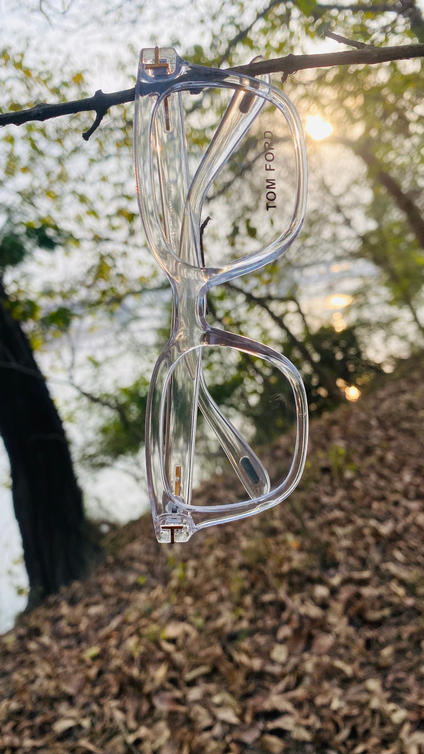 Premium Tom Ford Clear Crystal Optical Frames with Original Velvet Case & Box